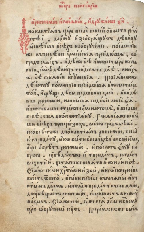 Страница 262
