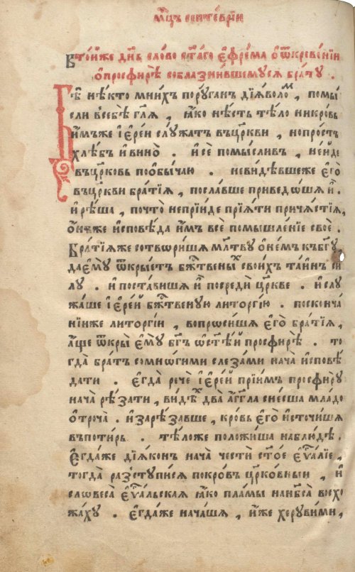 Страница 264