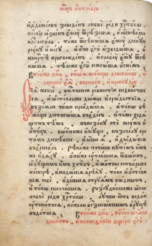 Страница 296