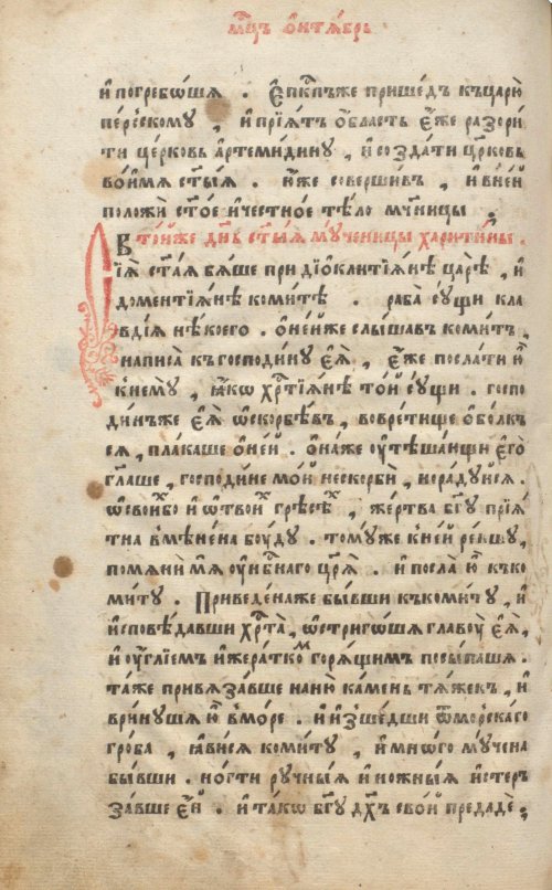 Страница 302