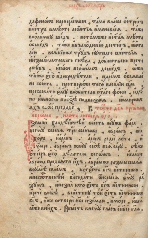Страница 362