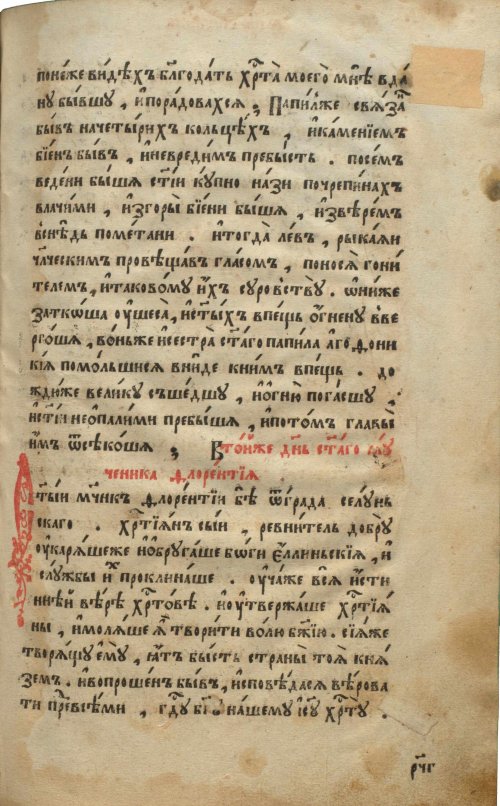 Страница 393