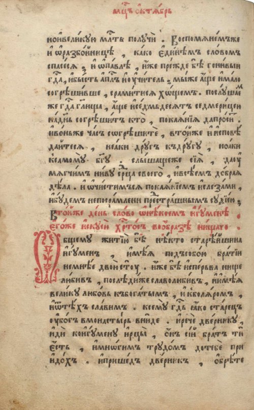 Страница 446