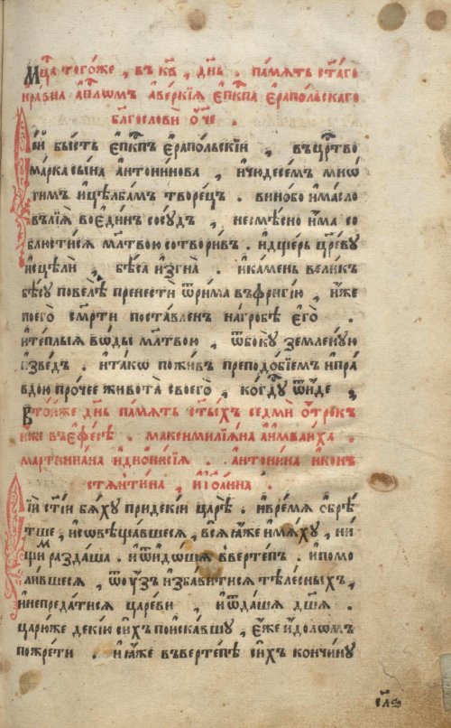 Страница 479
