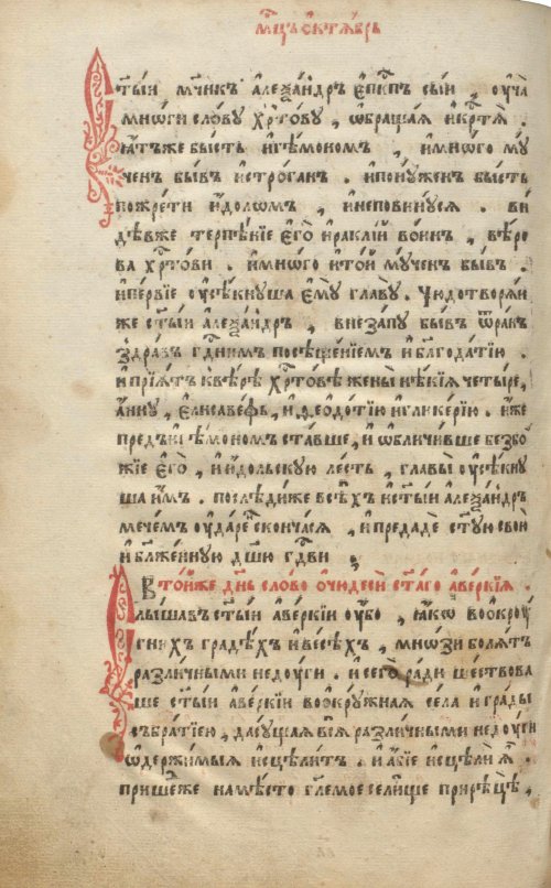Страница 486