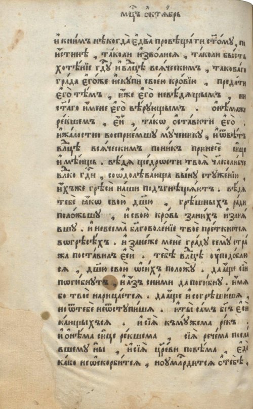 Страница 516