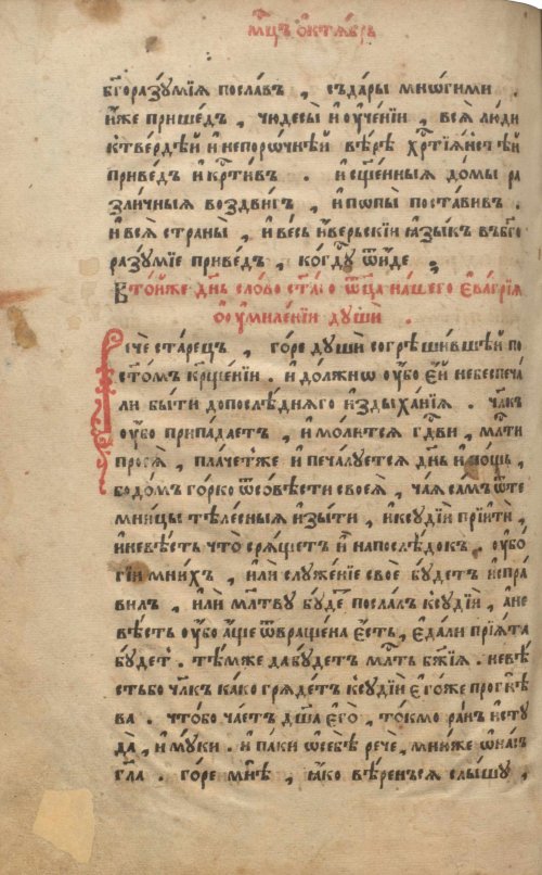 Страница 528