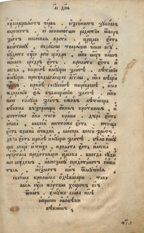 Страница 685