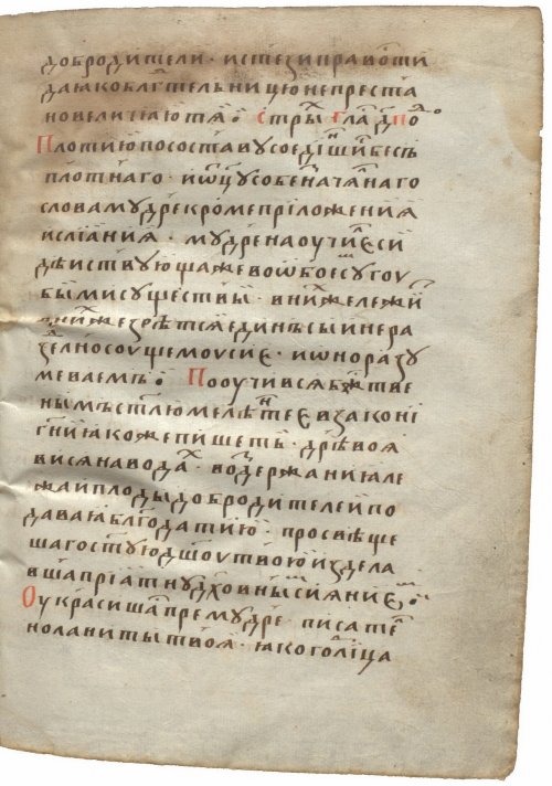 Страница 263
