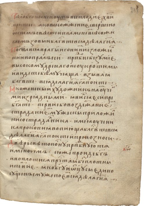 Страница 481