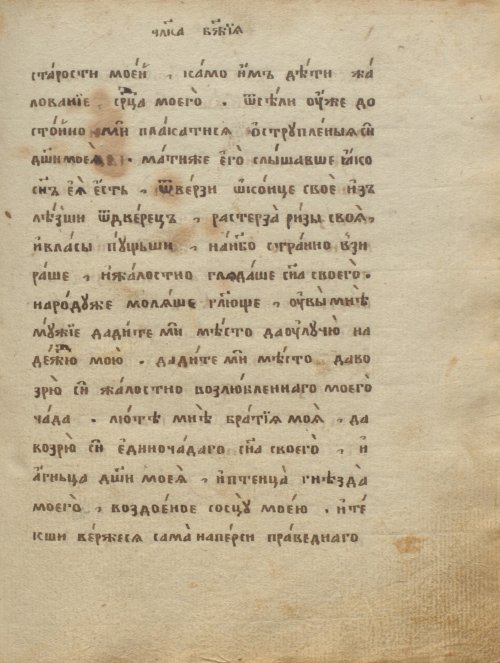 Страница 183