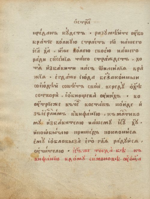 Страница 262