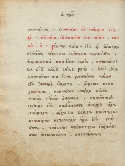 Страница 294