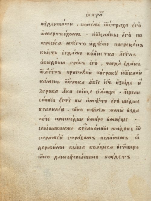 Страница 448