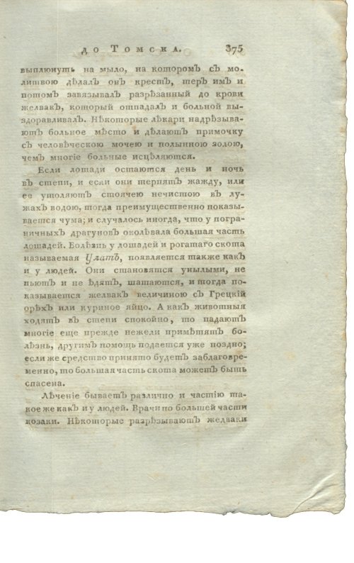 Страница 391