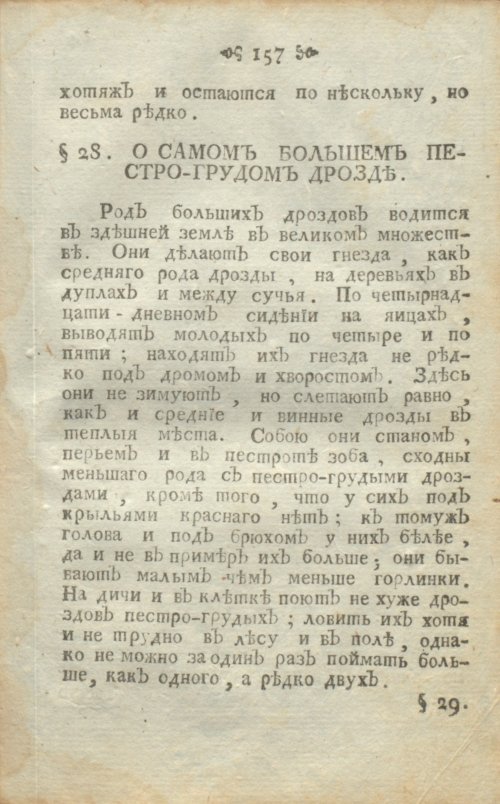 Страница 197