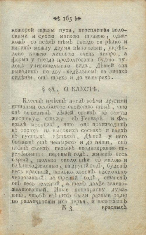 Страница 205