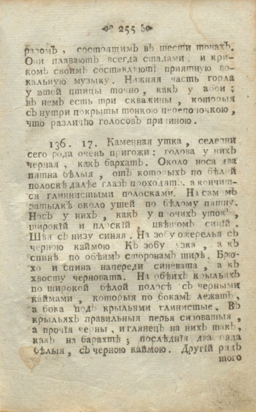 Страница 295