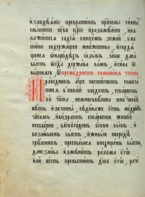 Страница 204