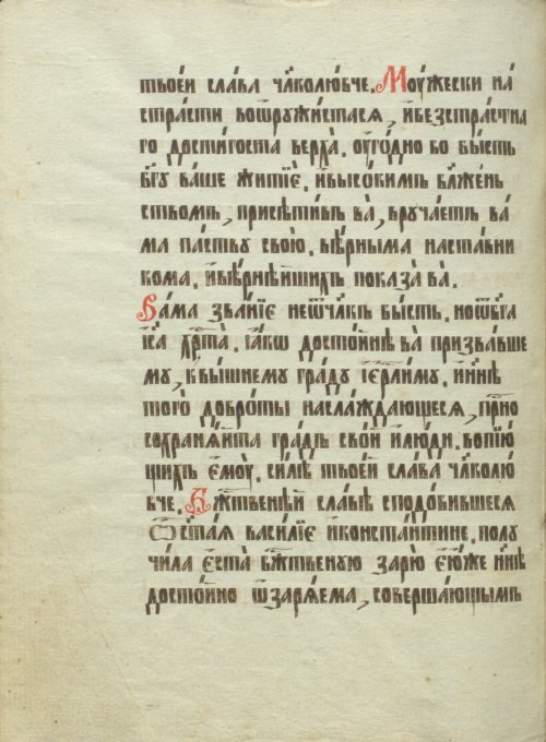 Страница 404