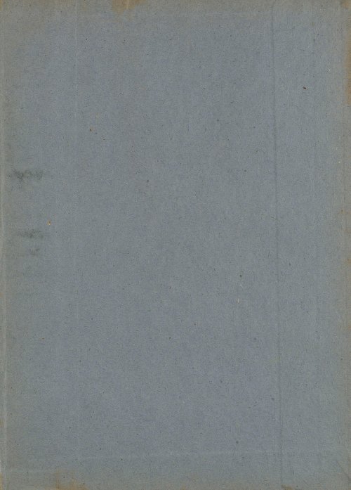 Страница 303