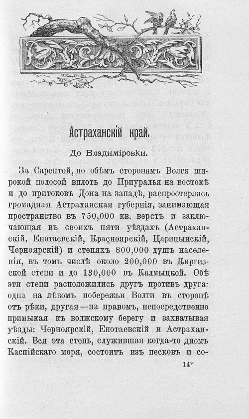 Страница 228