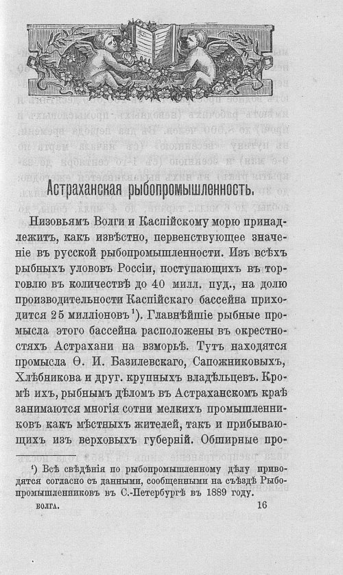 Страница 258