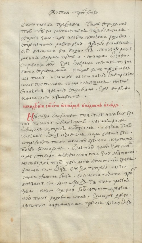 Страница 24