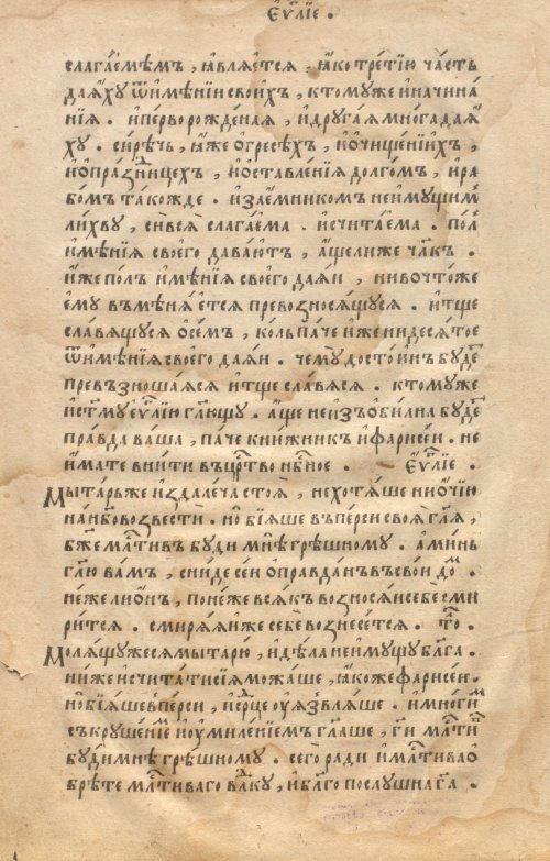 Страница 24