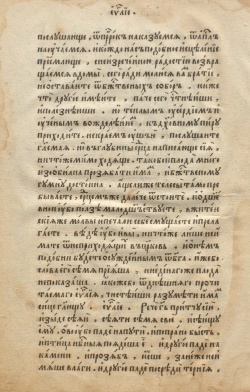Страница 448