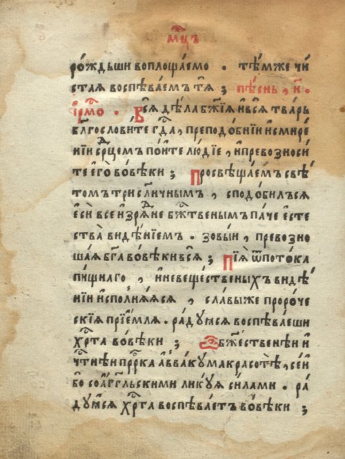Страница 28
