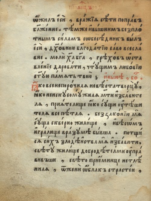 Страница 102