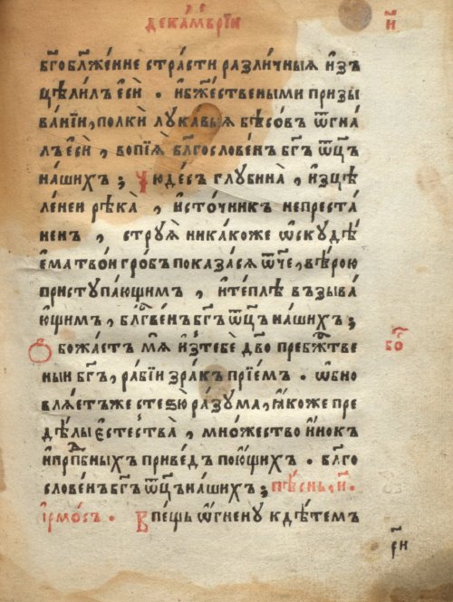 Страница 219