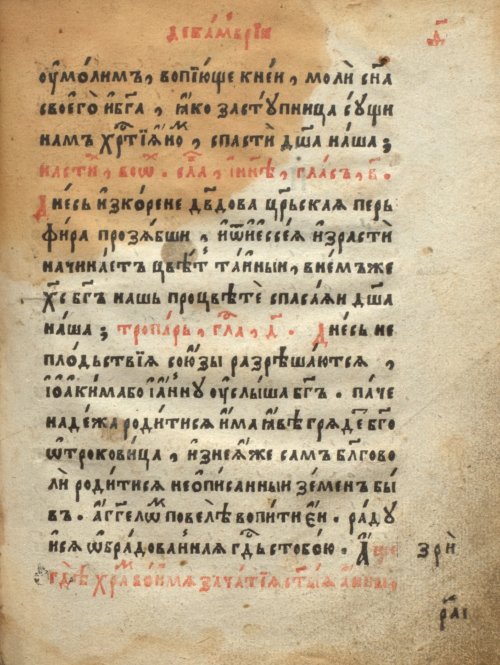 Страница 225