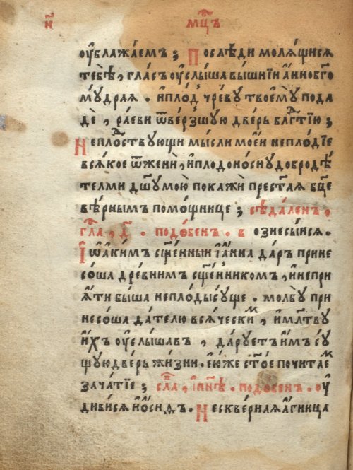 Страница 228