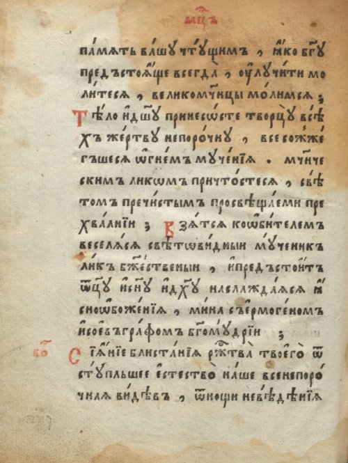 Страница 256