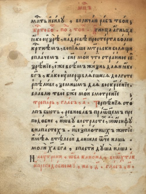 Страница 262