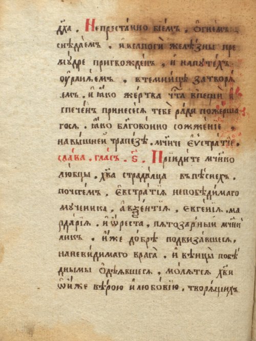 Страница 302