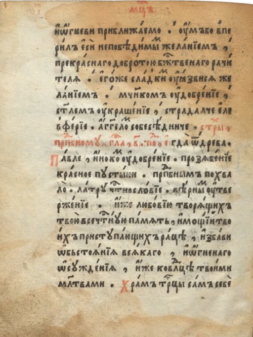 Страница 362