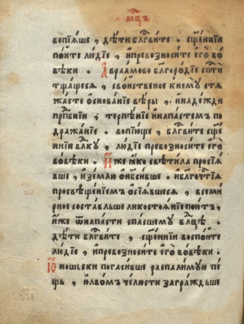 Страница 482