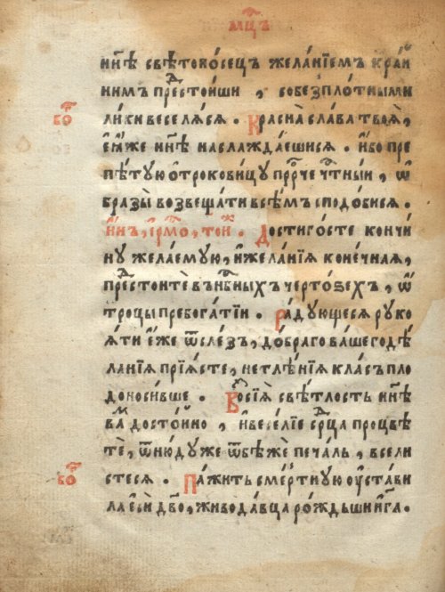 Страница 484