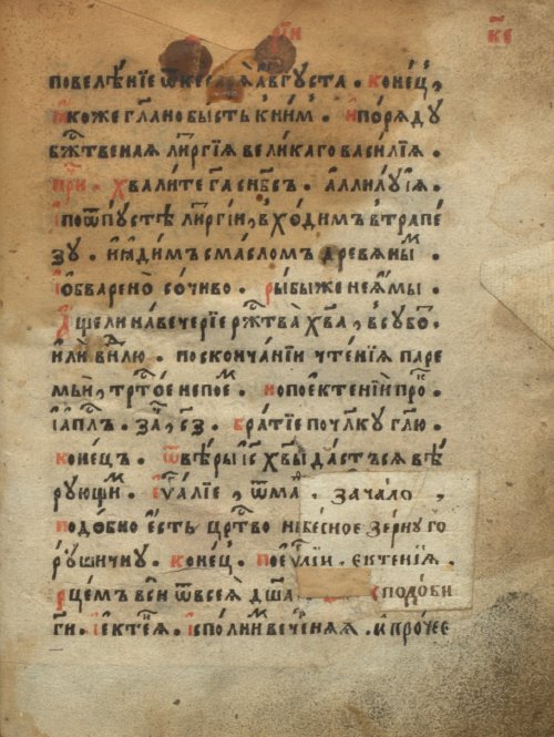 Страница 979