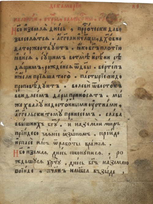 Страница 981