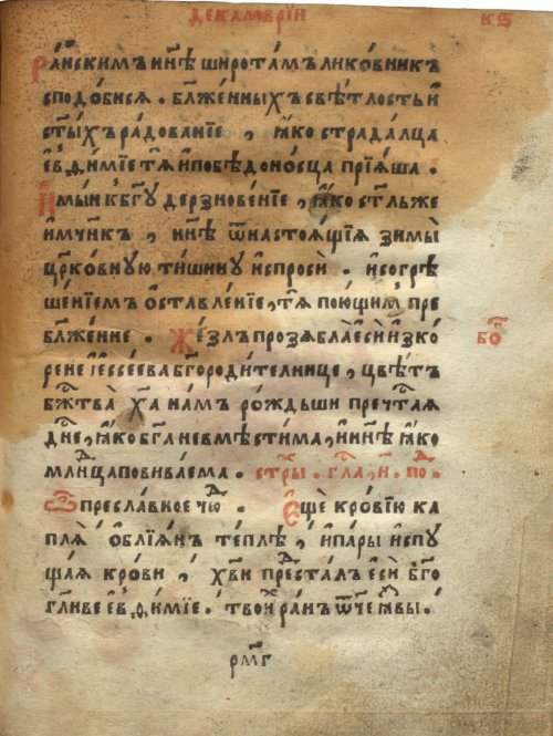 Страница 1029