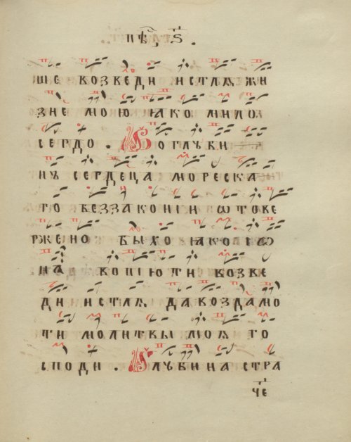 Страница 209