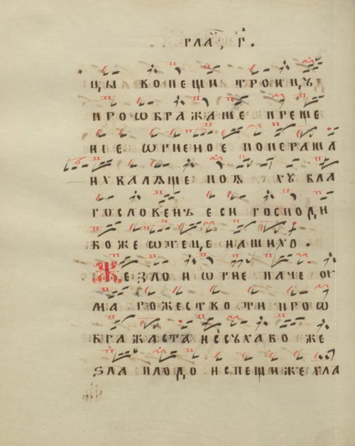 Страница 216