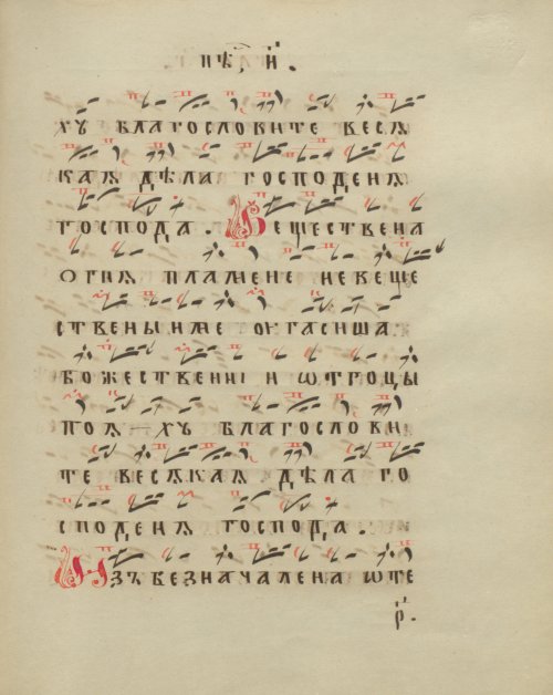 Страница 219