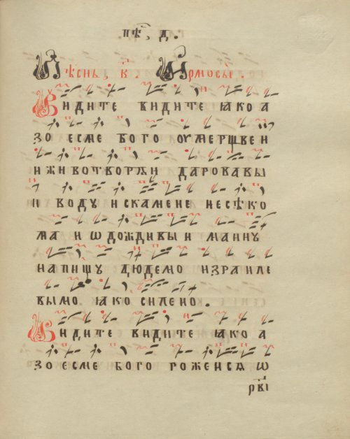 Страница 243