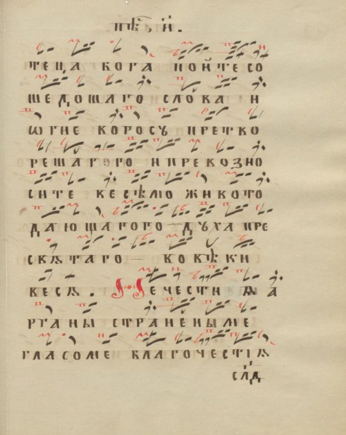 Страница 491