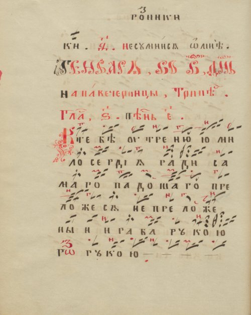 Страница 528